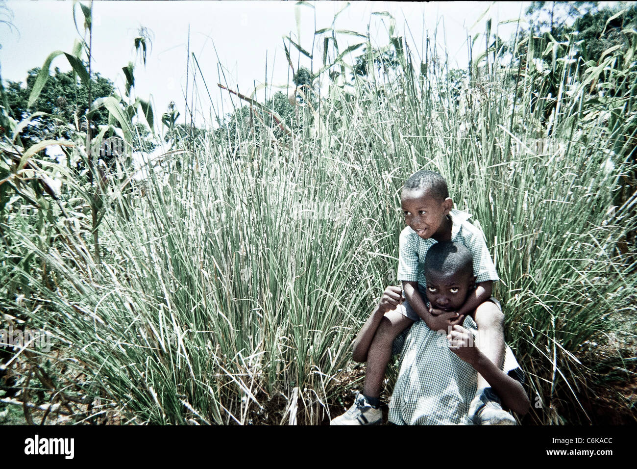 UK-Hilfswerk Tearfund gab 50 haitianischen Schulkindern Einwegkameras und bat sie, ihren Liebling fotografieren Stockfoto