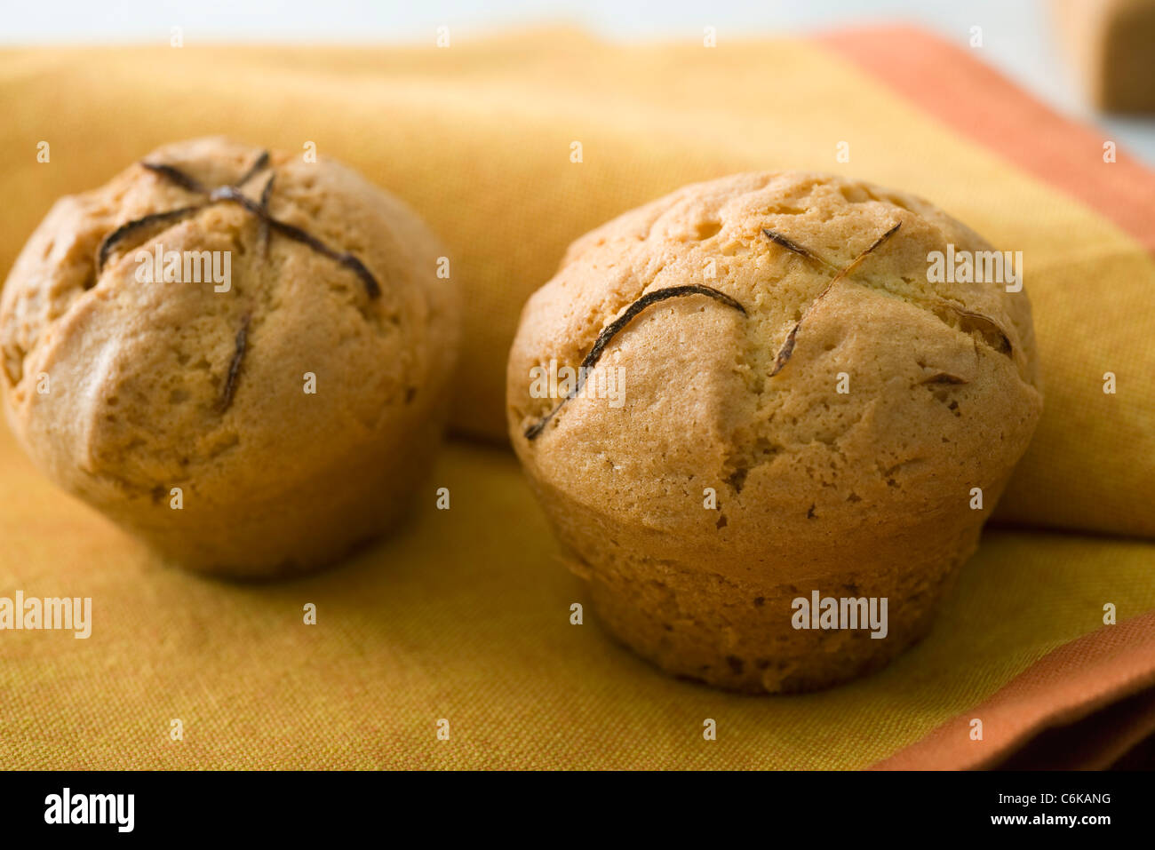 Zitronen-muffins Stockfoto