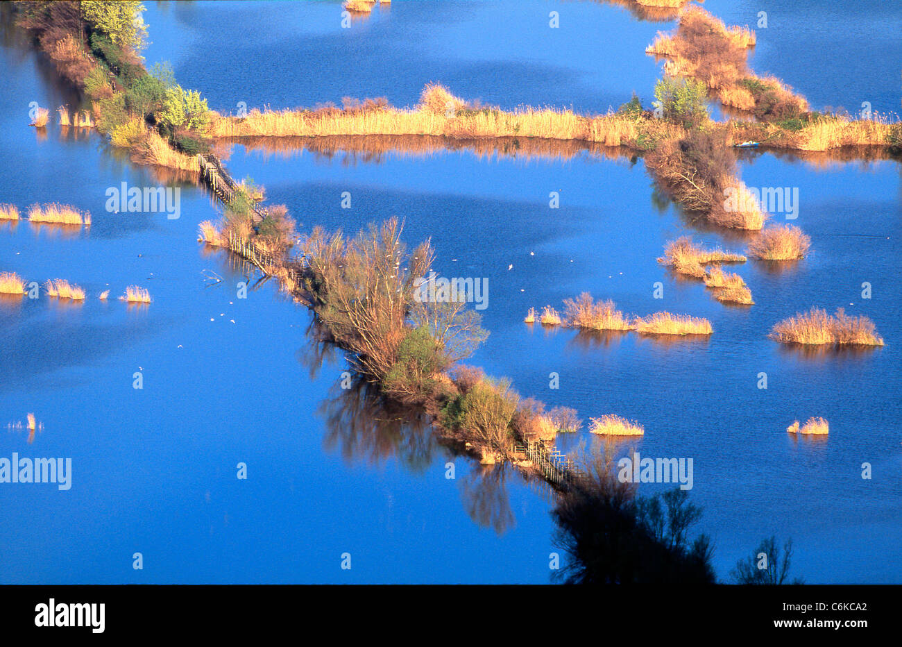 Torbiere del Sebino Stockfoto