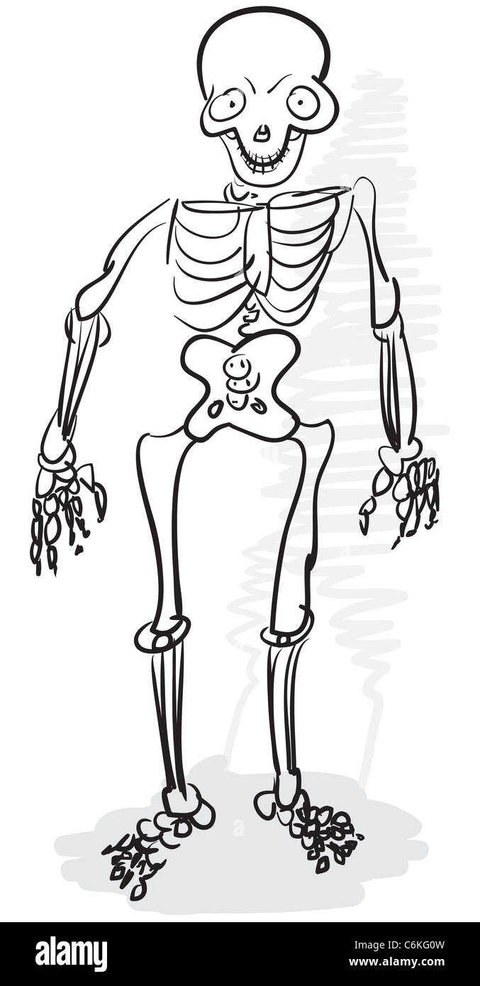 Grobe stilisierte monochrome Zeichnung - ein menschliches Skelett Stockfoto