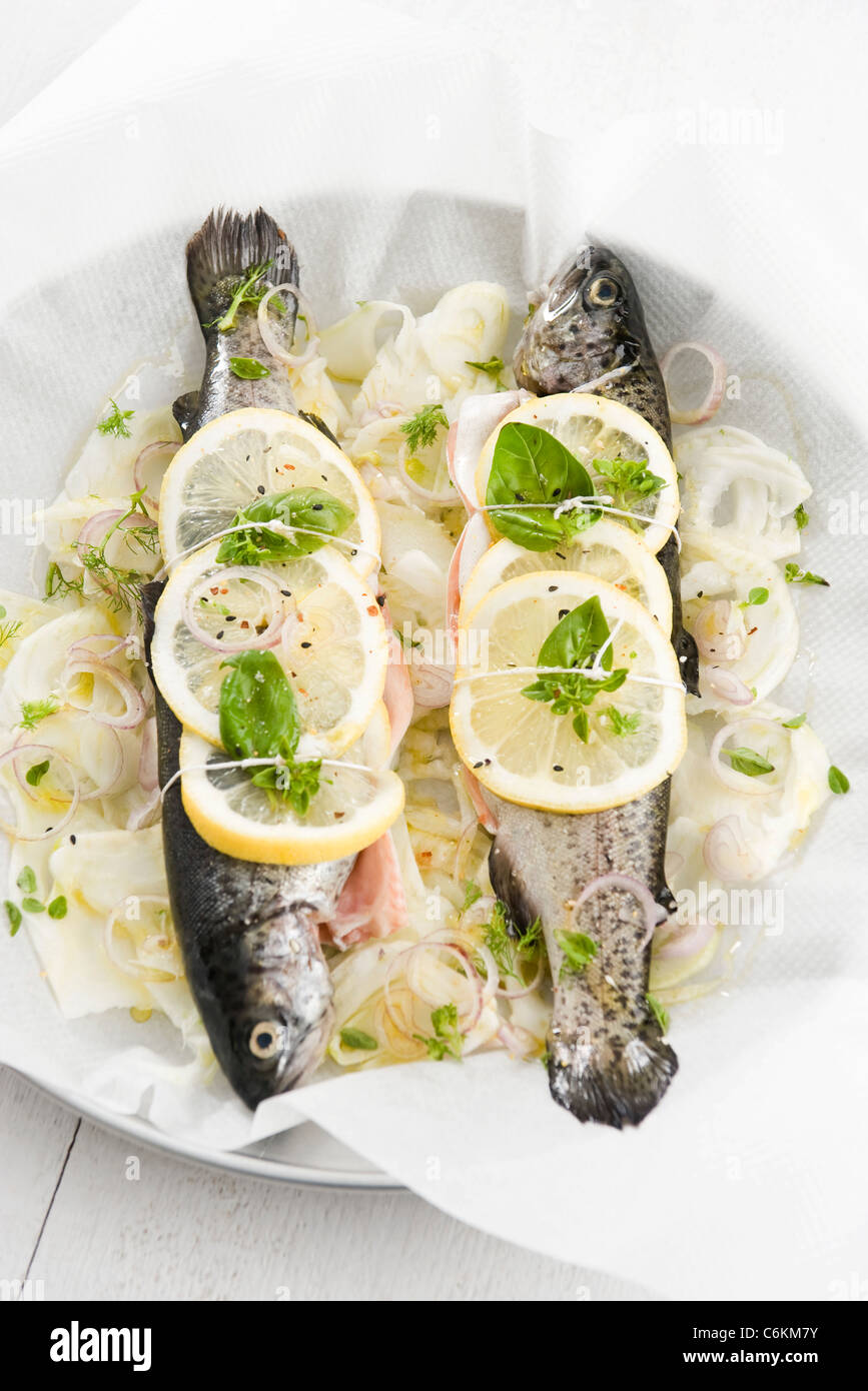 Gebackene Forelle mit Zitrone, Fenchel und Basilikum Stockfoto