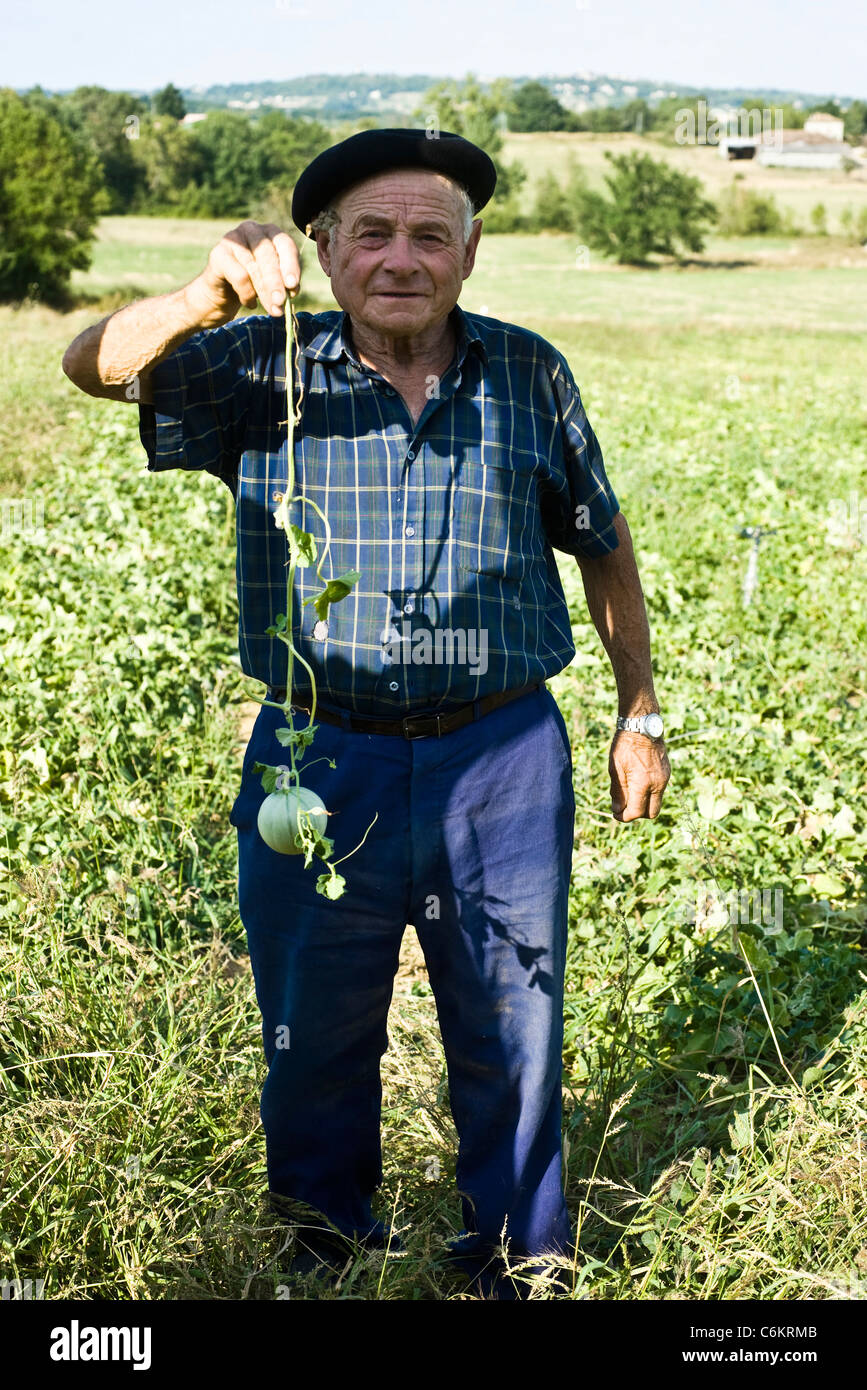 Bauer hält kleine, unreife Melone noch an Rebstöcken Stockfoto