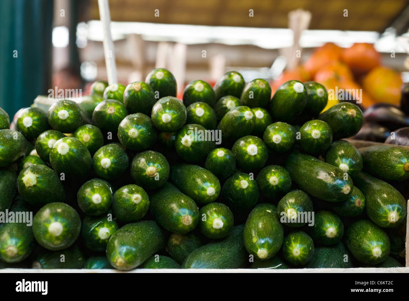 Frische Zucchini gestapelt im Markt Stockfoto