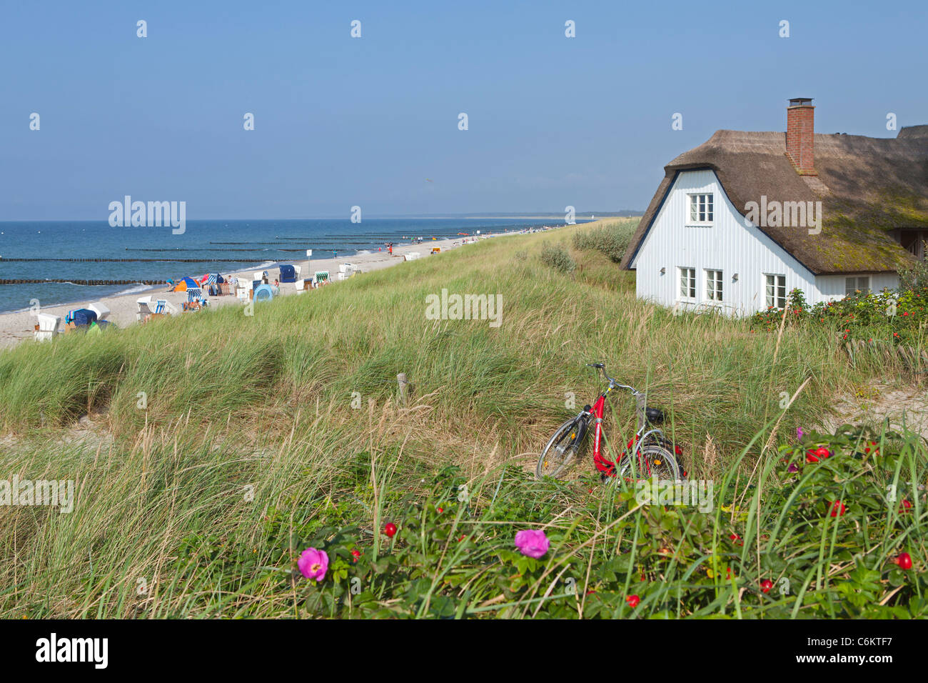 Strohgedeckte Haus Am Strand Ostsee Stadt Ahrenshoop Mecklenburg