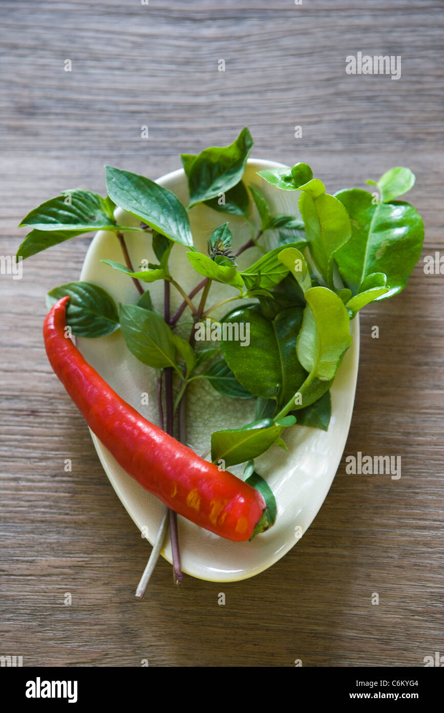 Thai Pfeffer, Basilikum und Kaffir Limettenblätter, Zutaten für grünes Curry Huhn Stockfoto