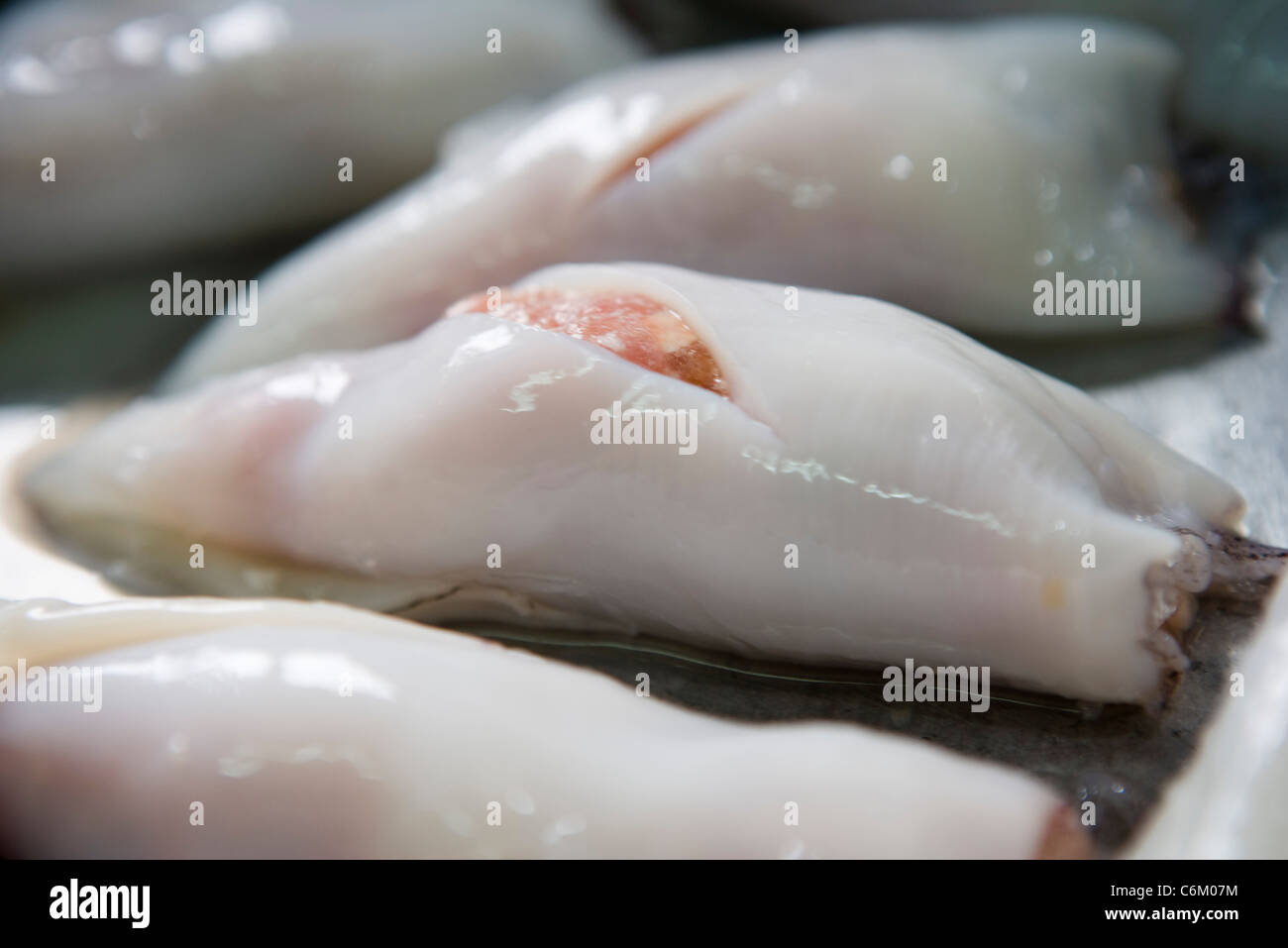 Dampfende Schweinefleisch gefüllte calamari Stockfoto