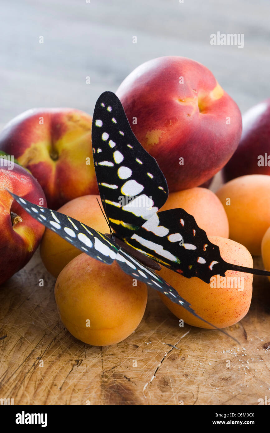 Frische Aprikosen und Nektarinen Stockfoto