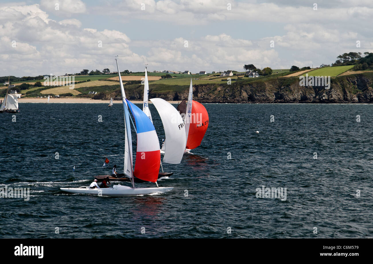 Shark Regatta, Bucht von Douarnenez, maritime Festival (Bretagne, Frankreich). Stockfoto