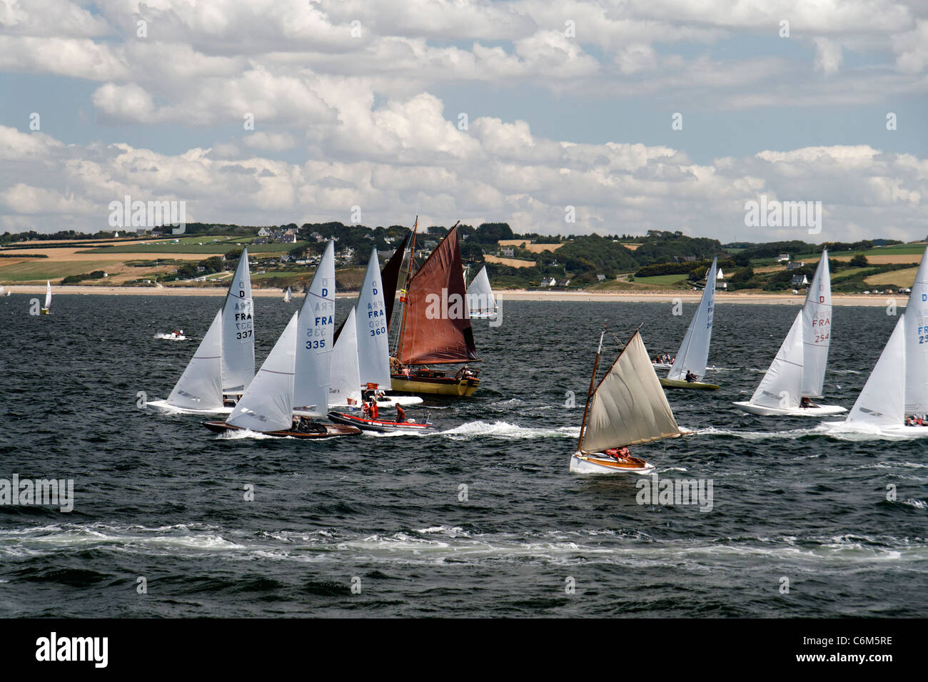 Shark Regatta, Bucht von Douarnenez, maritime Festival (Finistère, Bretagne, Frankreich) Stockfoto