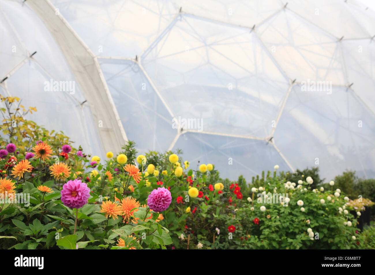 Nahaufnahme der Biome mit bunten Blumen im Vordergrund Stockfoto