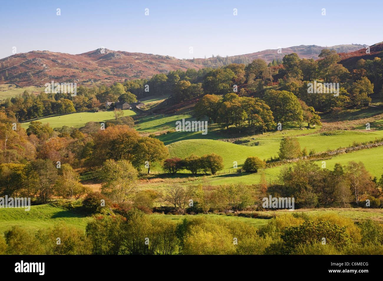 Eine hügelige Landschaft mit grünen Wiesen und Wäldern. Langdale, Lake District, Cumbria, UK Stockfoto