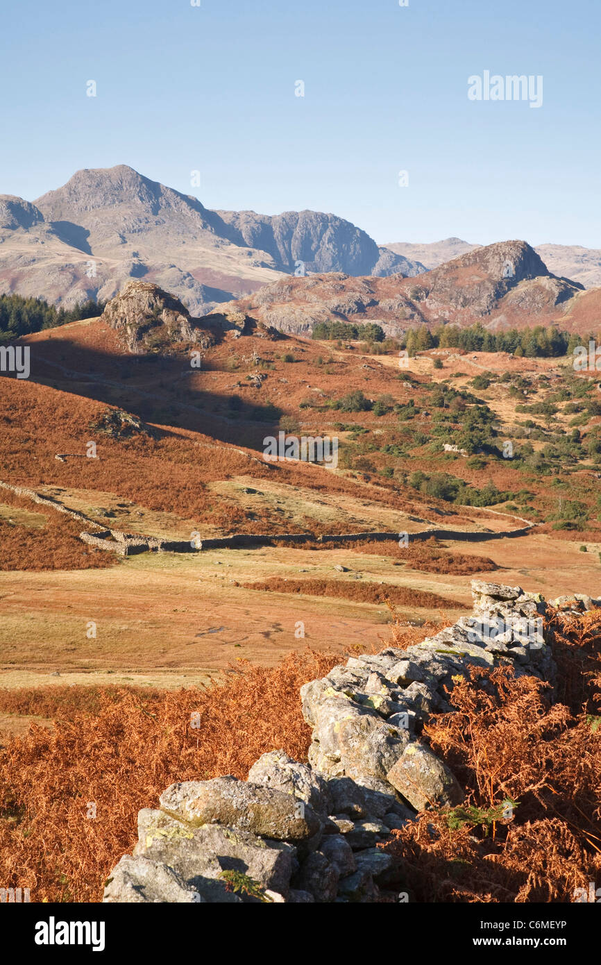 Blick auf die Langdale Pikes von Langdale in Lake District, Cumbria, England Stockfoto