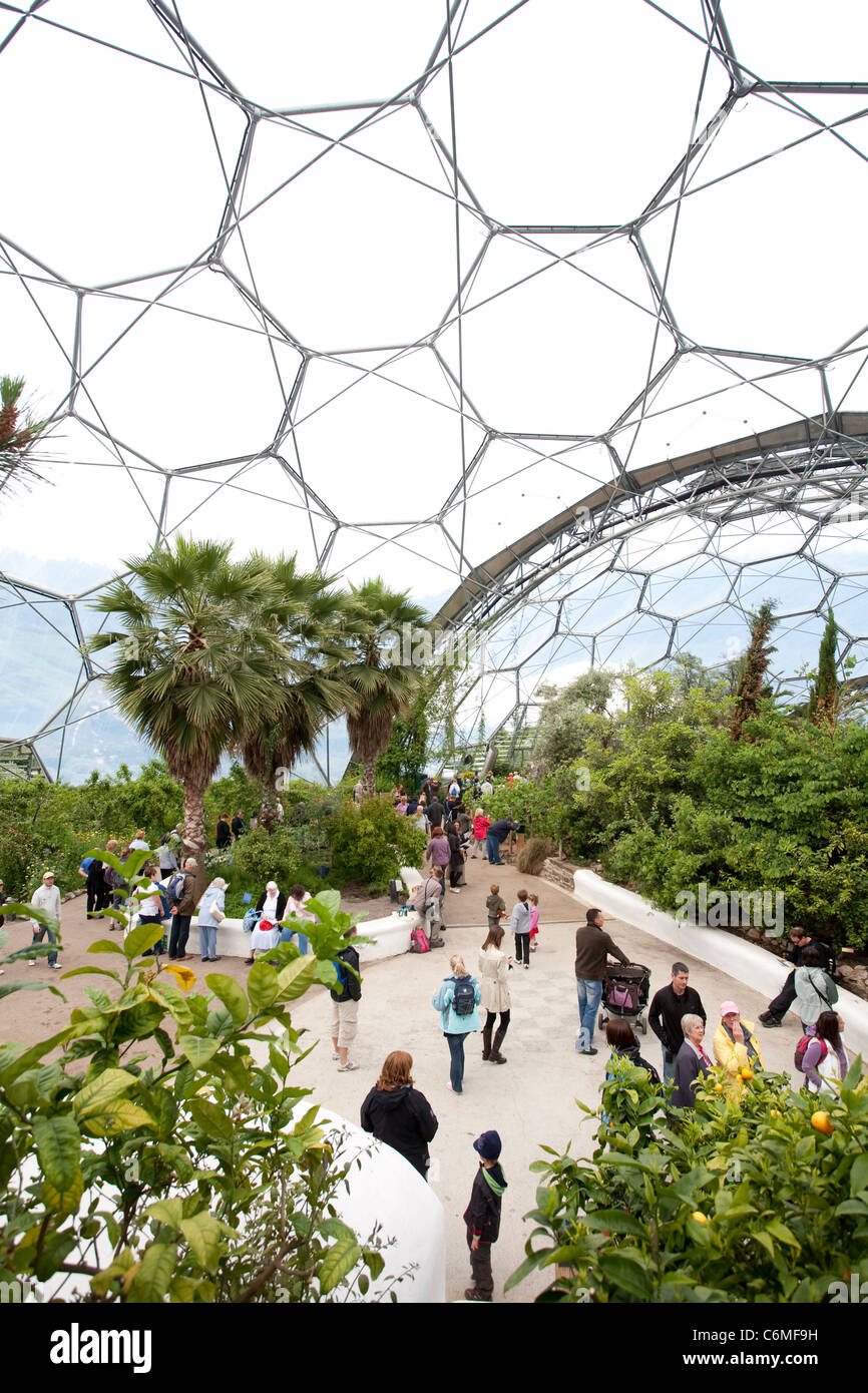 Das mediterrane Biom im Eden Project. Foto: Jeff Gilbert Stockfoto