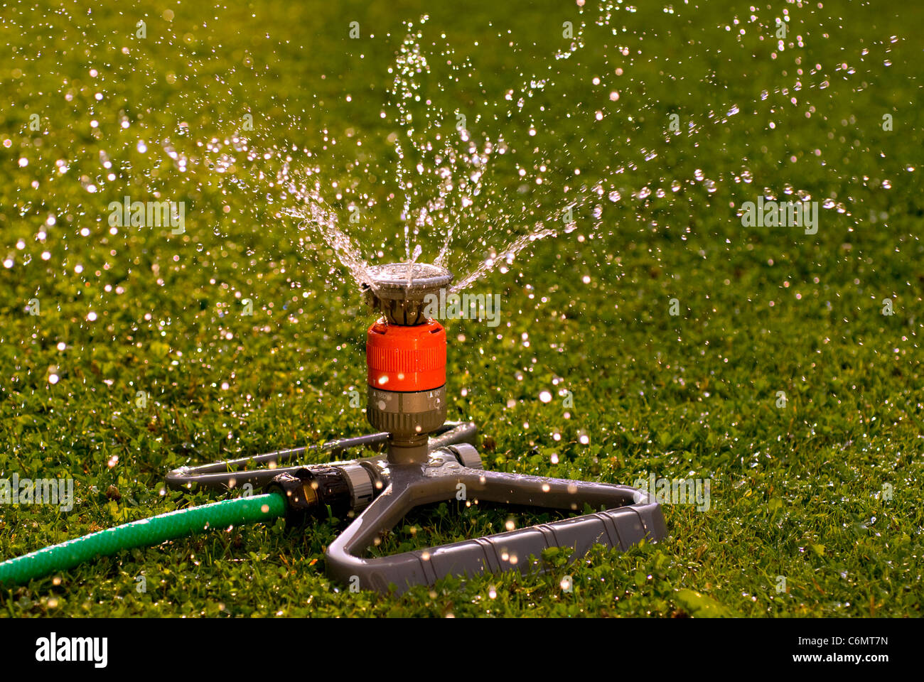 Nahaufnahme eines Sprengers, die Wasser über eine grüne Wiese verteilt Stockfoto