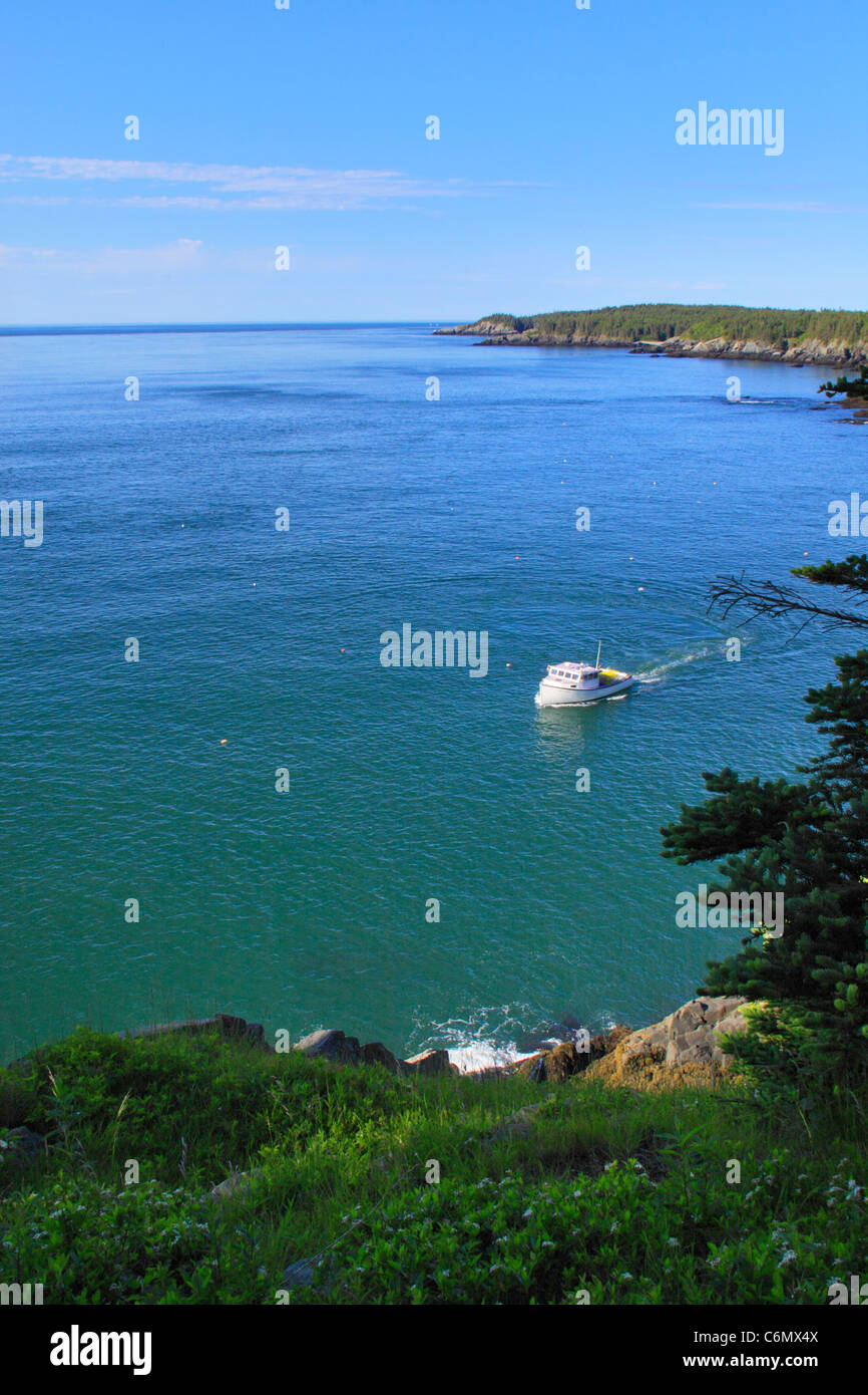 Cutler Küstenpfad, mutige Küste bewahren, Cutler, Maine, USA Stockfoto