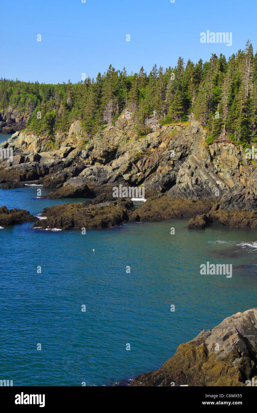 Cutler Küstenpfad, mutige Küste bewahren, Cutler, Maine, USA Stockfoto