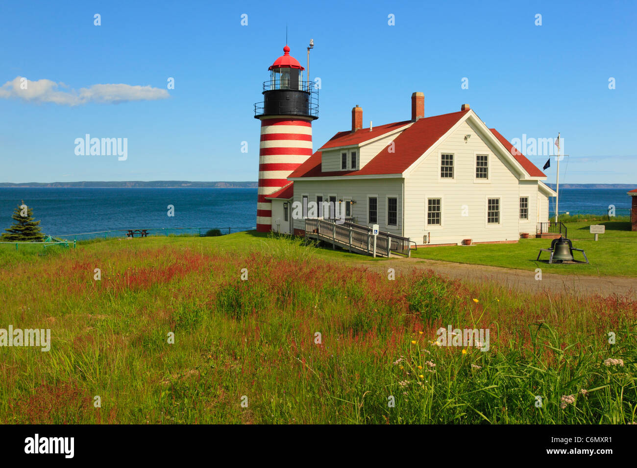 Quaddy Kopf Licht, West Quaddy Head State Park, Lubec, Maine, USA Stockfoto