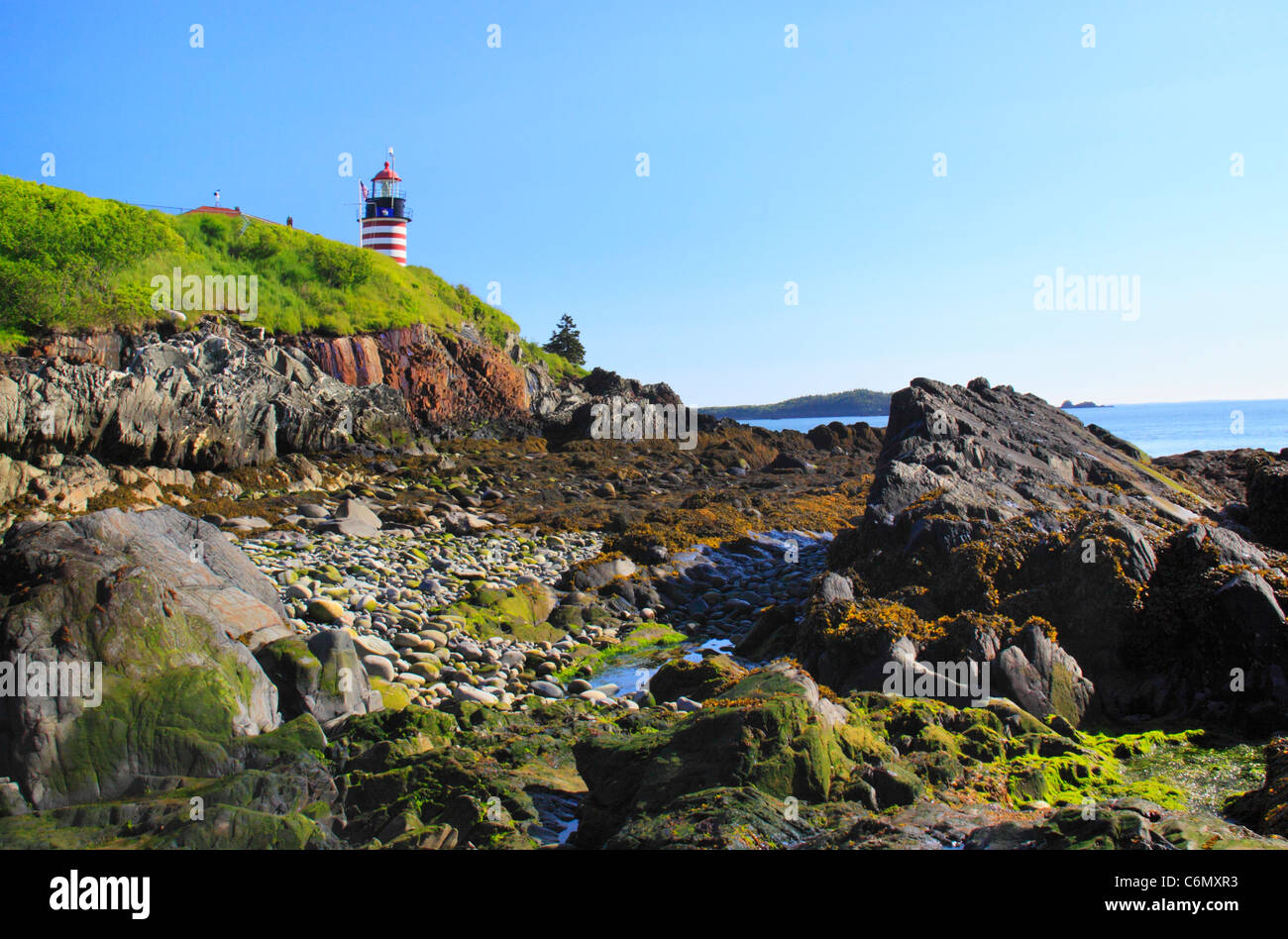 Quaddy Head Light, West Quaddy Head State Park, West Coastal Trail, Lubec, Maine, USA Stockfoto