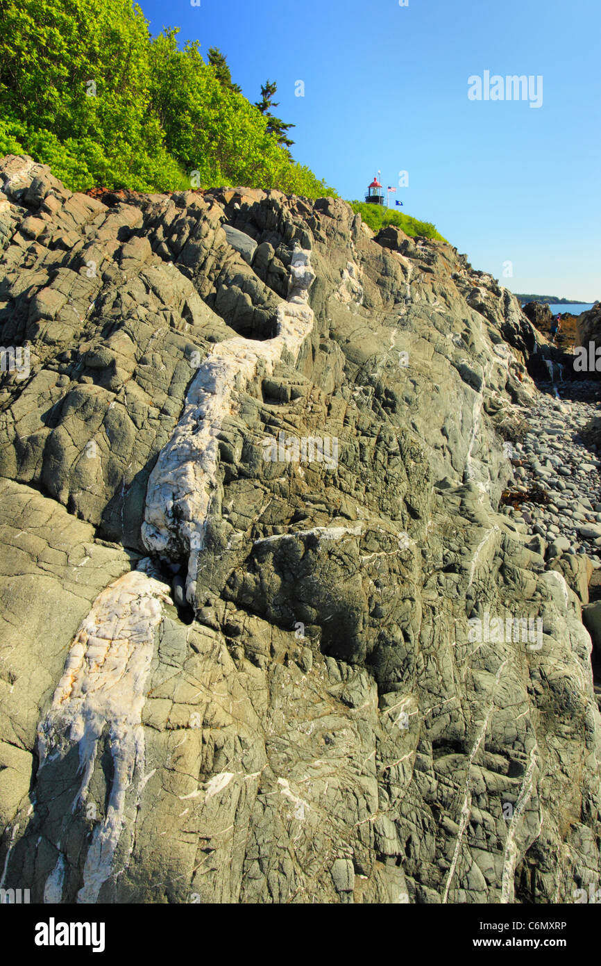 Quaddy Head Light, West Quaddy Head State Park, West Coastal Trail, Lubec, Maine, USA Stockfoto