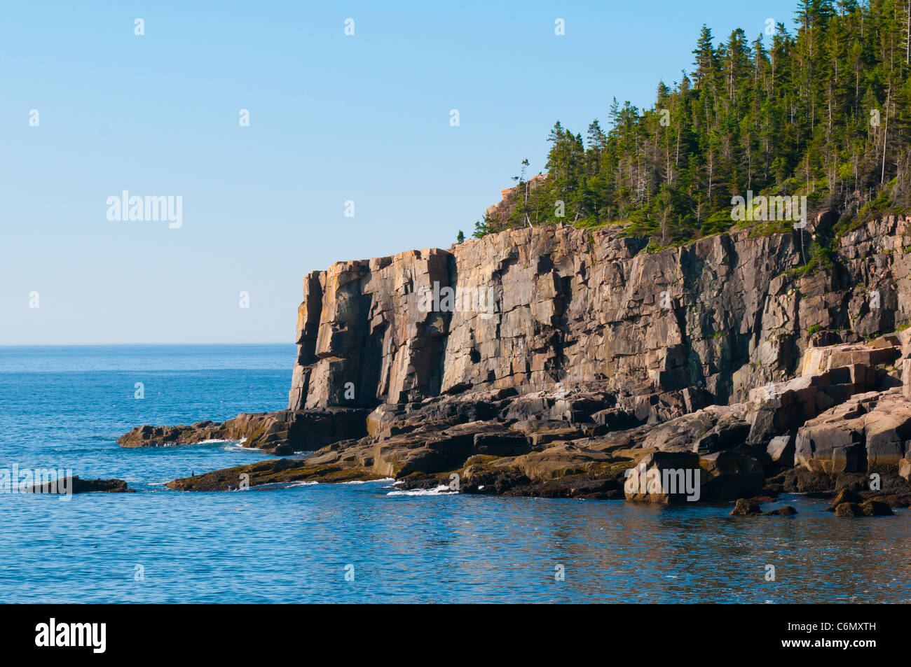 Otter Klippe Acadia Nationalpark Stockfoto