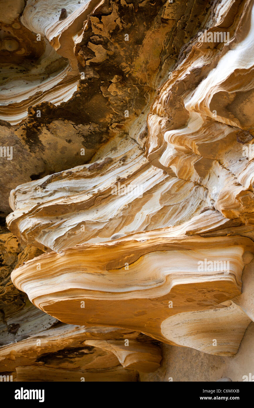 Sandstein in Bluff River Gorge in Tasmanien Stockfoto
