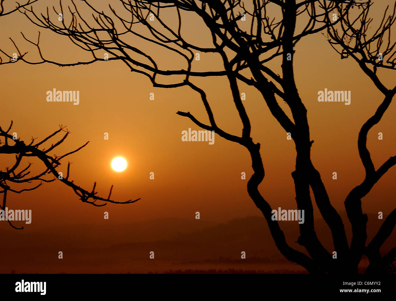 Sun Rise Stockfoto