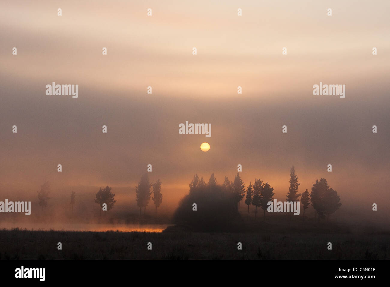 Sonnenaufgang über dem Nebel und Bäume auf dem Weg von Standerton Pongola Stockfoto