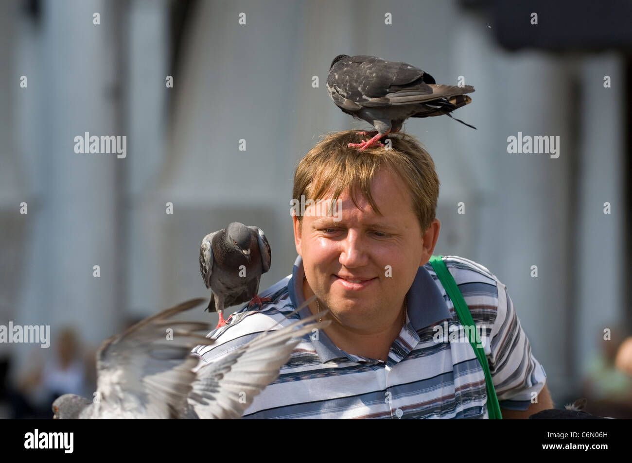 Ein Tourist füttern der Tauben auf der Piazza San Marco (bekannt auf Englisch als St. Marks Platz) im Zentrum von Venedig, Italien. Stockfoto