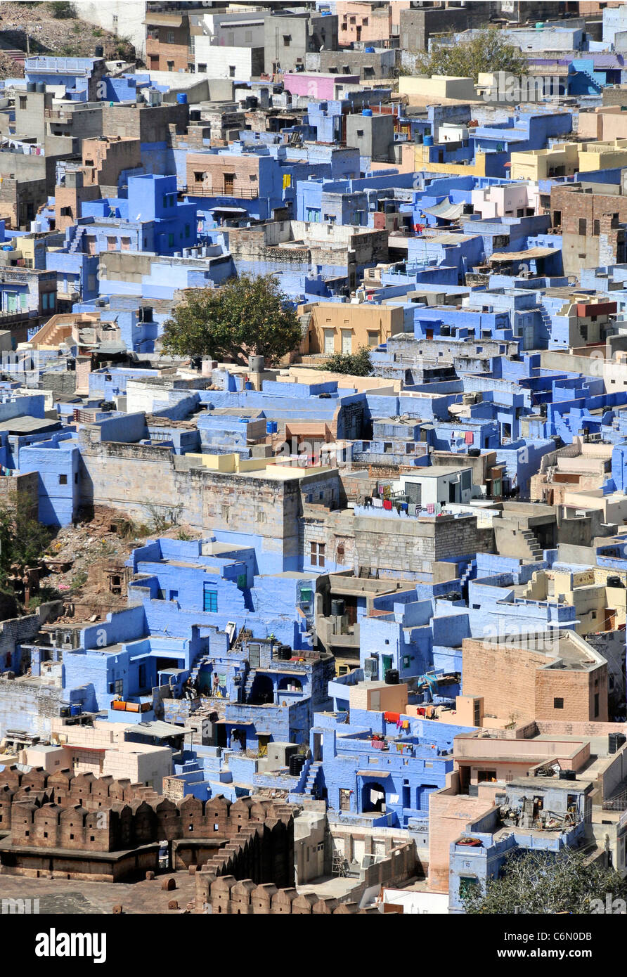 Draufsicht, alte blaue Brahmane Jodhpur Rajasthan Indien Häuser ...