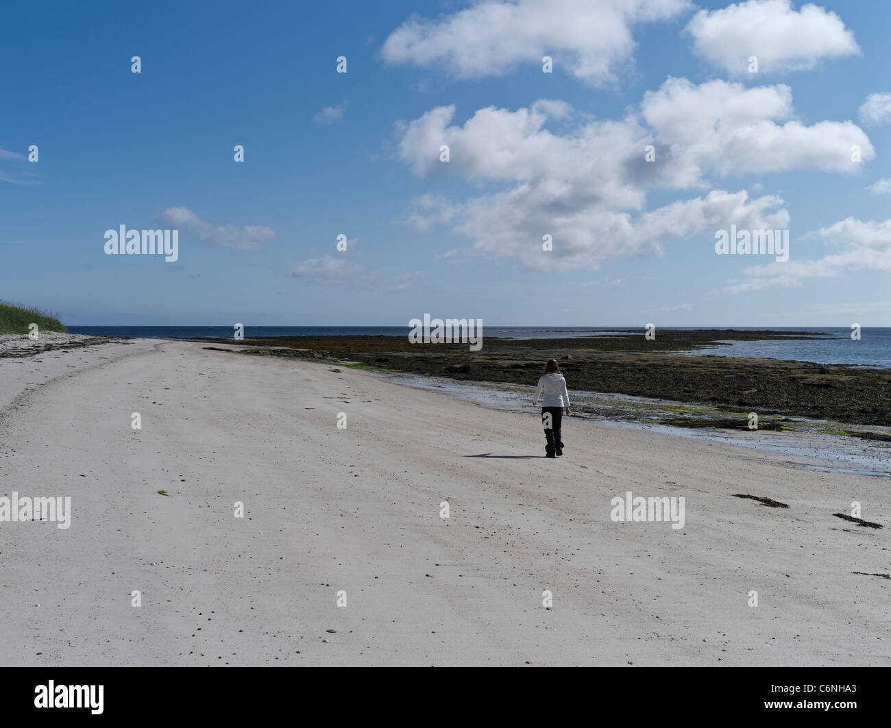 dh South Wick PAPA WESTRAY ORKNEY Tourist Person Walking on Weißer Sandstrand sandige Frau allein Silber uk Inseln Stockfoto