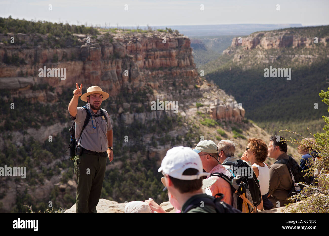 Die lange Haus Cliff Behausung im Mesa Verde National Park Stockfoto