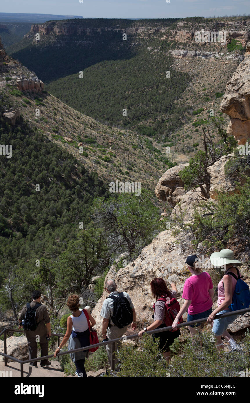 Besucher wandern in Richtung the Long House Cliff Behausung im Mesa Verde National Park Stockfoto