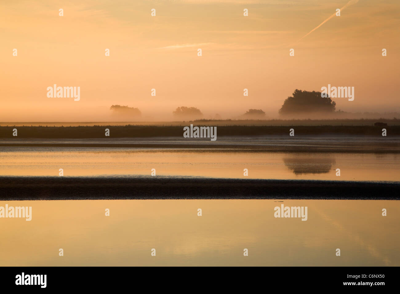 Misty Morning am Newnham auf Severn Gloucestershire England Stockfoto