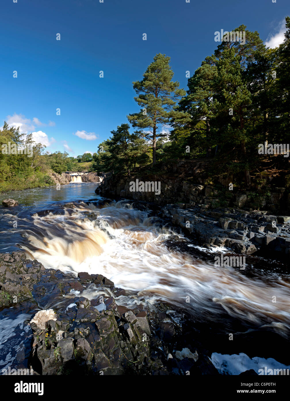 Ein Sommertag Low Force Wasserfall in der Nähe von Middleton-in-Teesdale, County Durham Stockfoto