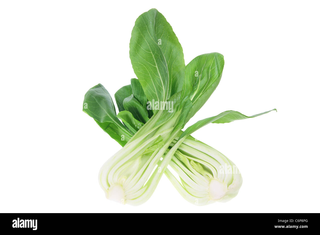 Bok Choy Stockfoto