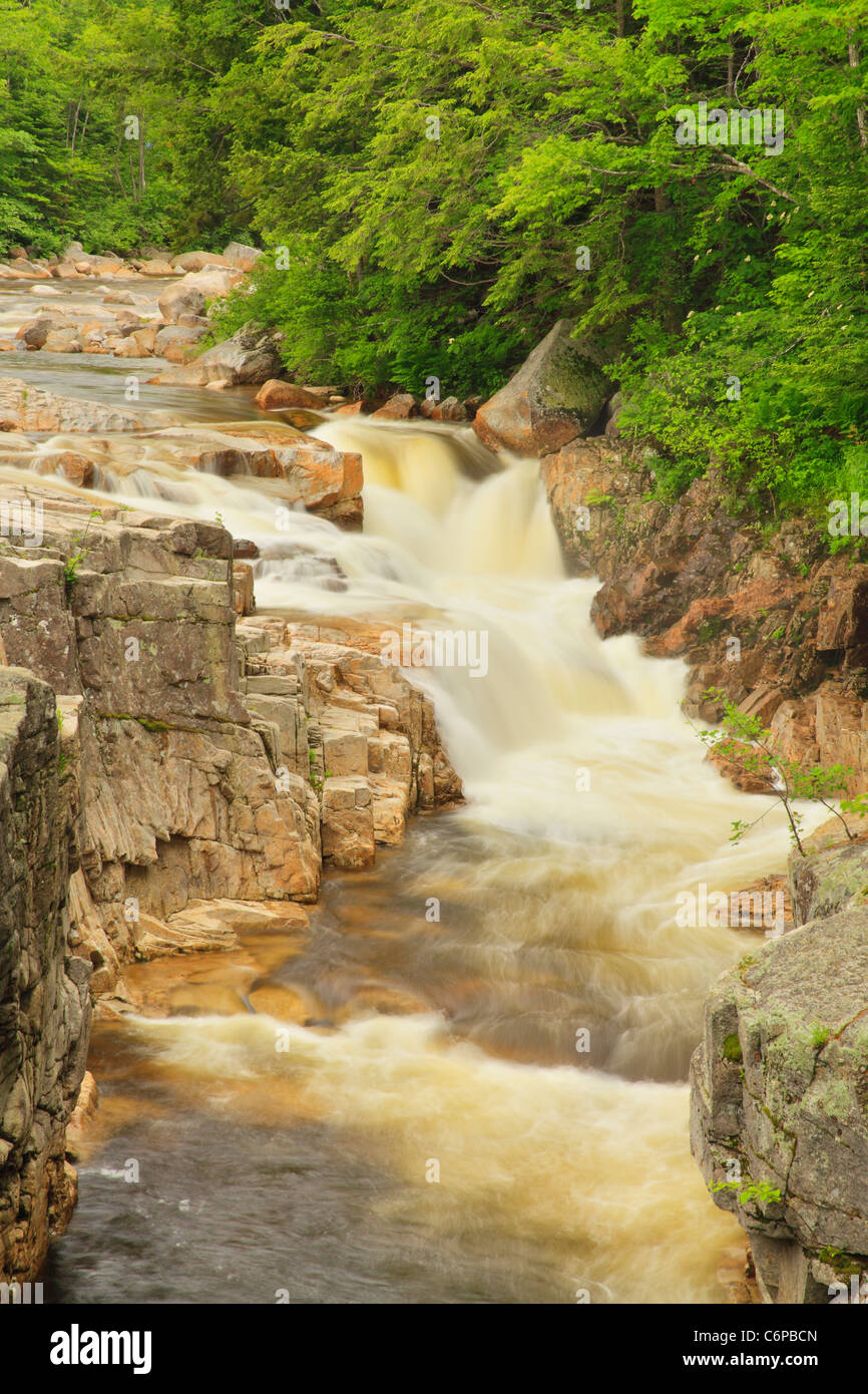 Felsenschlucht, Kancamagus Highway, New Hampshire, USA Stockfoto