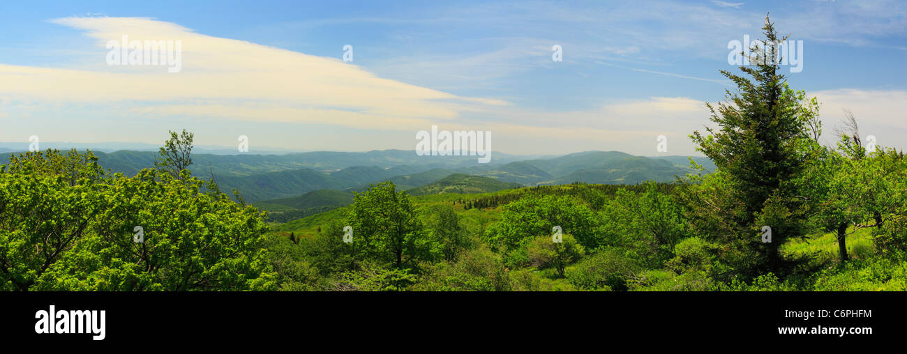 Versteckte PassageTrail, flachen Felsen und Roaring Ebenen, Dolly Grassoden, Dry Creek, West Virginia, USA Stockfoto