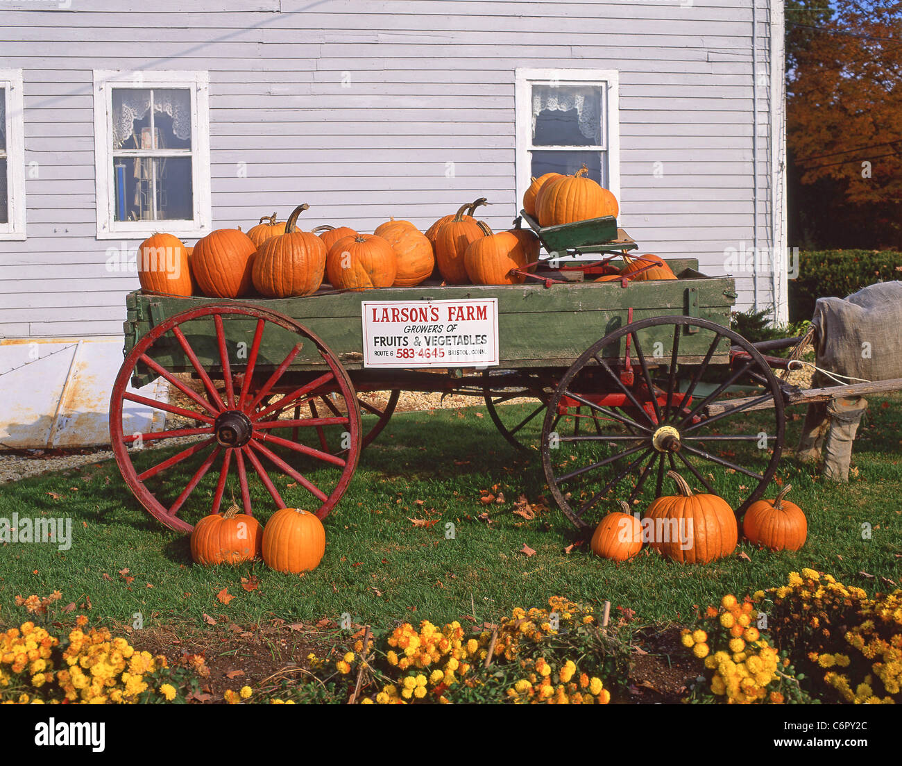 Halloween Kürbis am Straßenrand stand, Connecticut, Vereinigte Staaten von Amerika Stockfoto