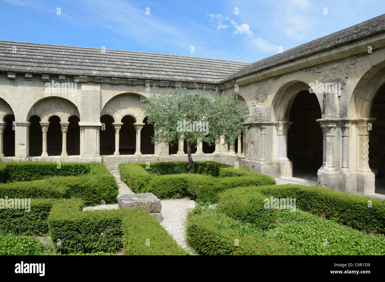 Formgehölze Hecken im Kreuzgang oder Kreuzgang der Kathedrale Notre-Dame-de-Nazareth Vaison-la-Romaine Vaucluse Provence Frankreich Stockfoto