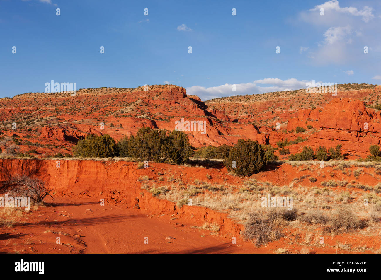 Sattes Rot gefärbt Felslandschaft in der Nähe von Jemez Pueblo, New Mexico, USA. Stockfoto