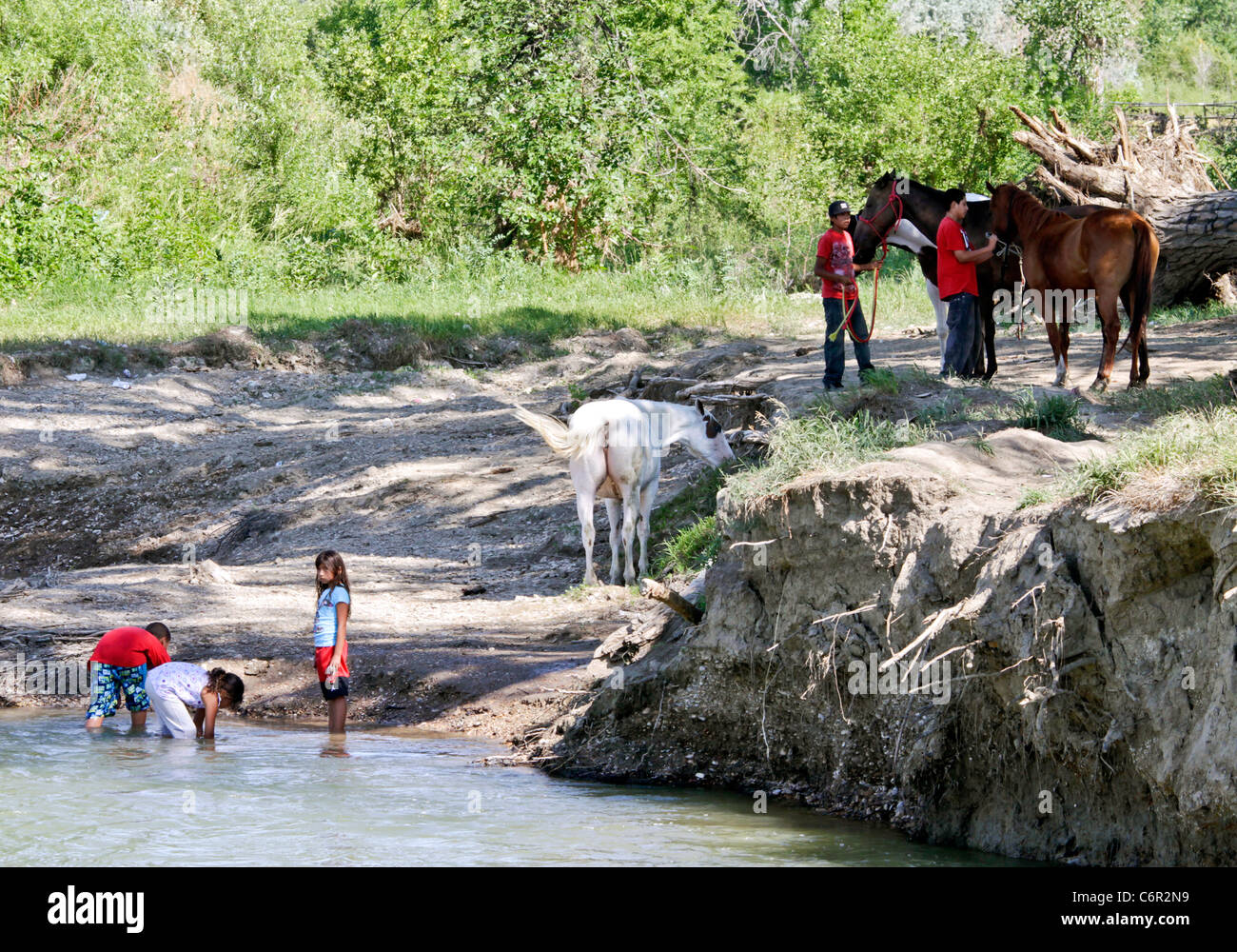Junge Indianer Krähen spielt in der Little Big Horn River und tendenziell Pferde bei der Crow Agentur Reservierung, Montana. Stockfoto