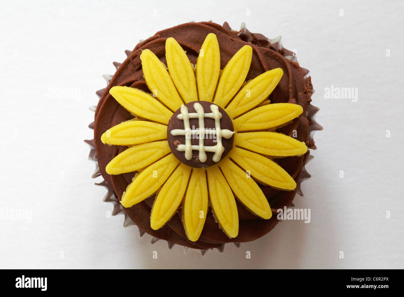 Auf Chocolate Cupcake mit gelben Marzipan daisy flower oben auf weißem Hintergrund - von oben Stockfoto