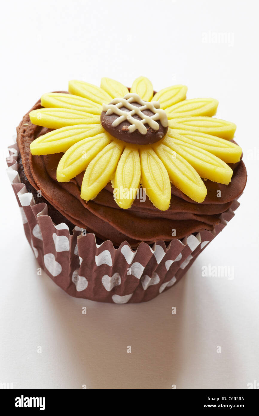 Schokolade Cupcake mit gelben Marzipan Daisy Blume an der Spitze isoliert auf weißem Hintergrund Stockfoto