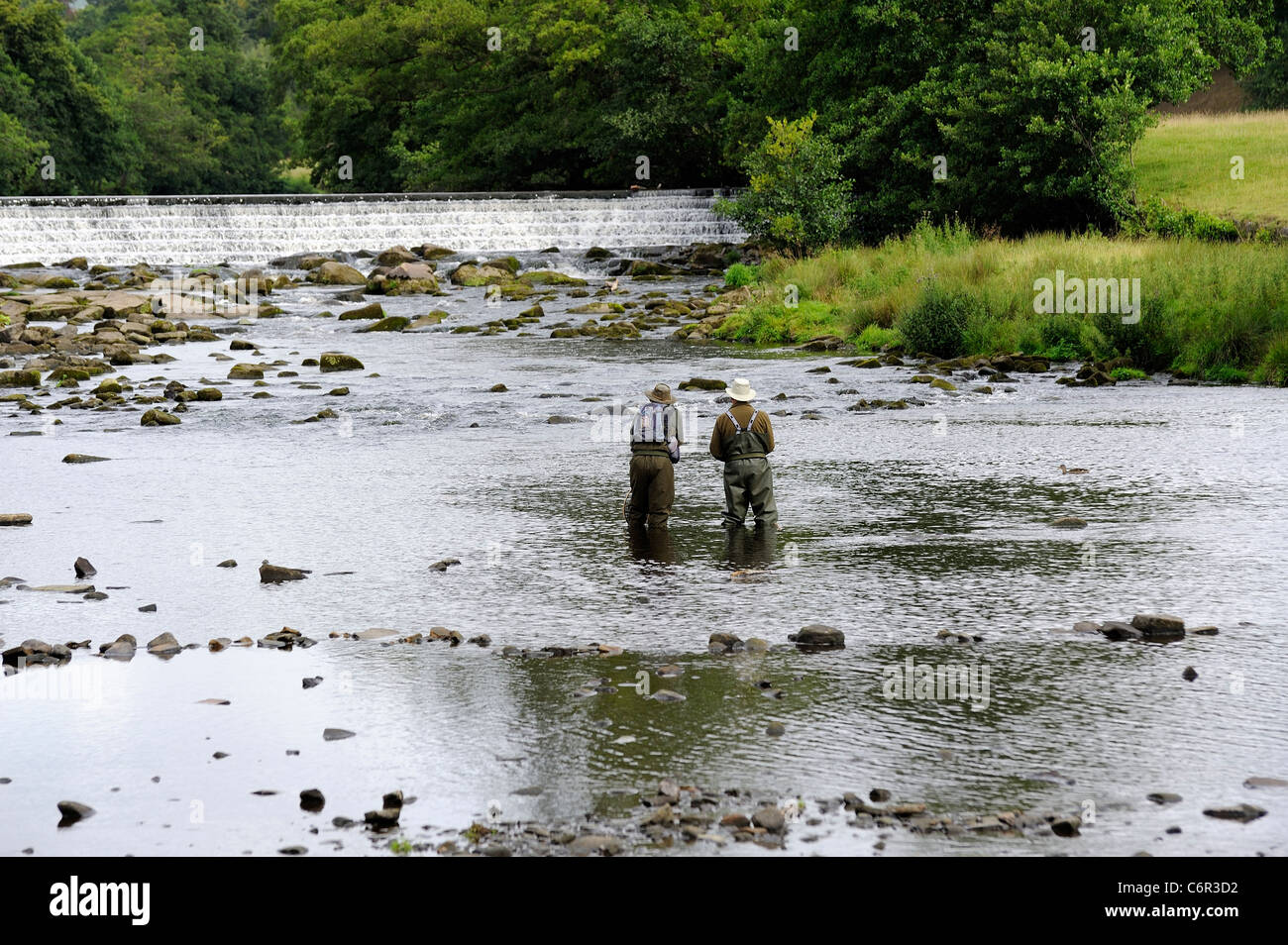 zwei Männer Fliegenfischen Fluss Derwent Chatsworth Anwesen Derbyshire England uk Stockfoto