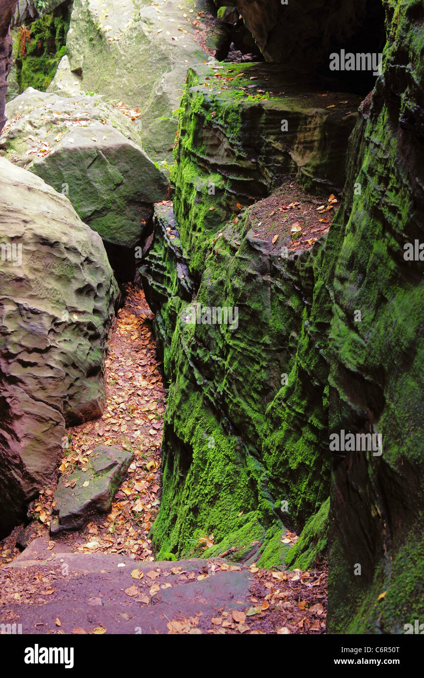 Bielatal - Biela Tal 18 Stockfoto