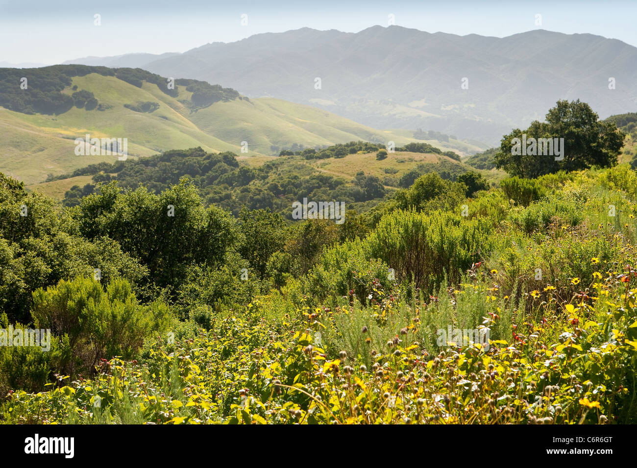 Blick vom Highway 1 zwischen Gaviota und Lompoc, Kalifornien, Vereinigte Staaten von Amerika Stockfoto