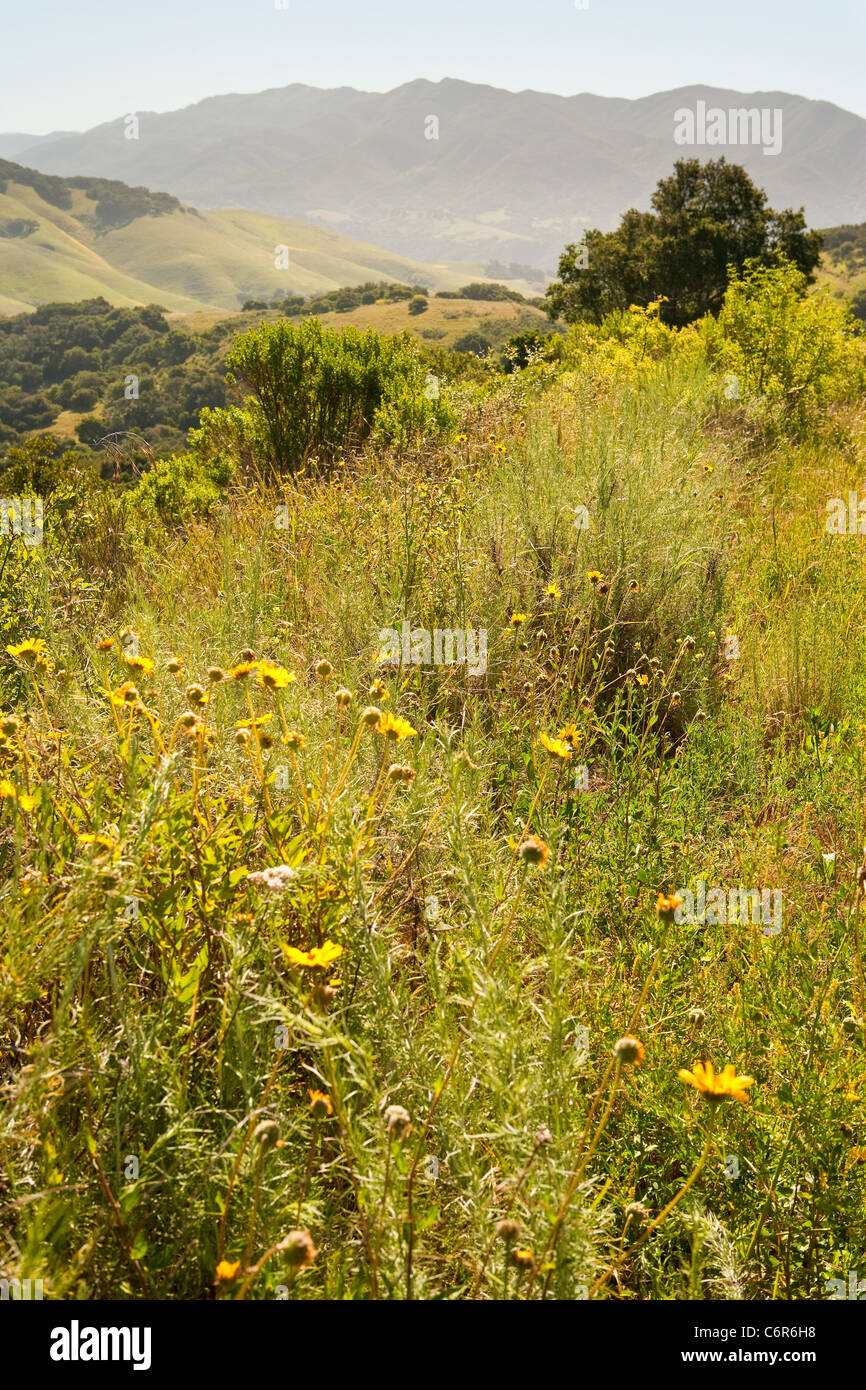 Blick vom Highway 1 zwischen Gaviota und Lompoc, Kalifornien, Vereinigte Staaten von Amerika Stockfoto