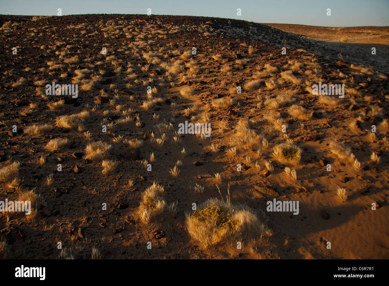 Landschaft der Wüste Stockfoto