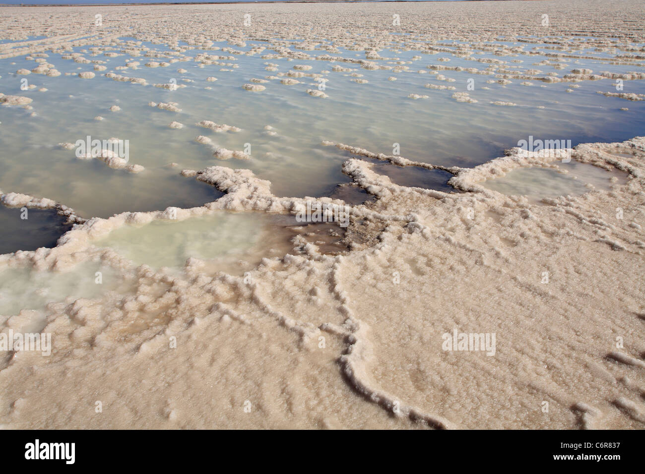 Salzkristalle in Verdampfung Damm Stockfoto