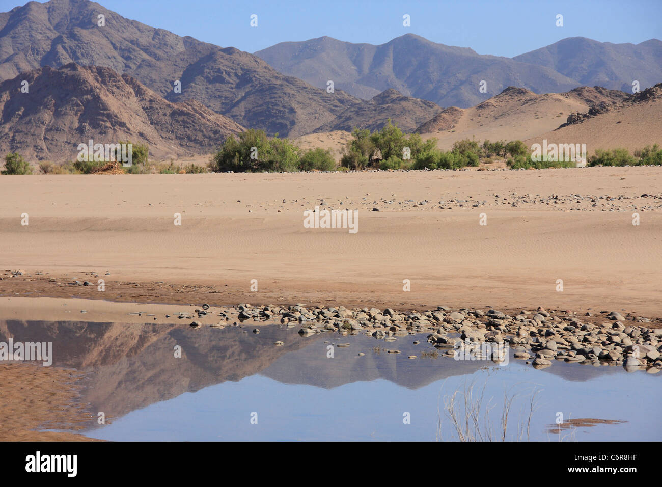 Wüstenlandschaft mit River Bank Reflexionen Stockfoto